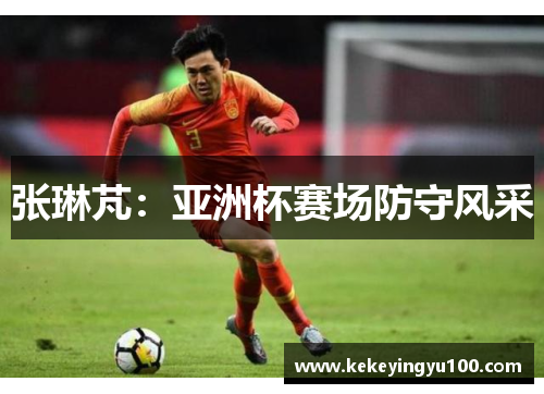 张琳芃:亚洲杯赛场防守风采 张琳芃:亚洲杯赛场防守风采