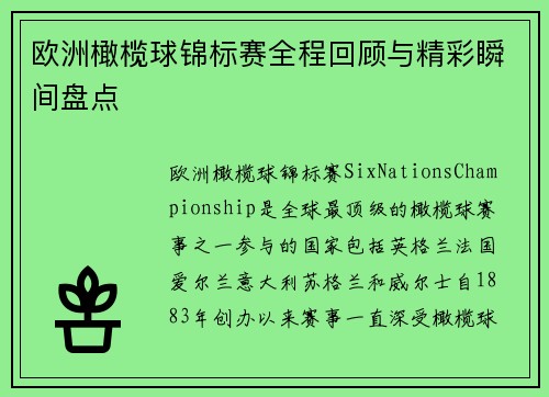 欧洲橄榄球锦标赛全程回顾与精彩瞬间盘点 欧洲橄榄球锦标赛全程回顾与精彩瞬间盘点