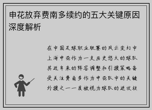 申花放弃费南多续约的五大关键原因深度解析